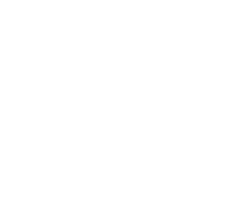 c21